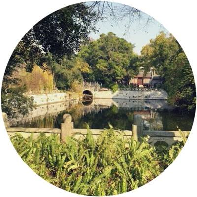 天宫奇缘手游官方下载